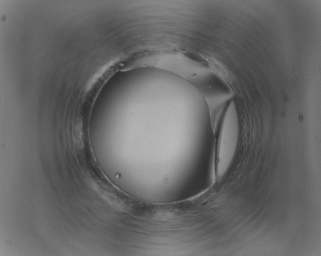 X0000077380684200611101730