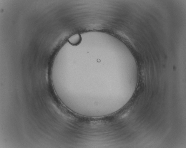 X0000077380686200611101730