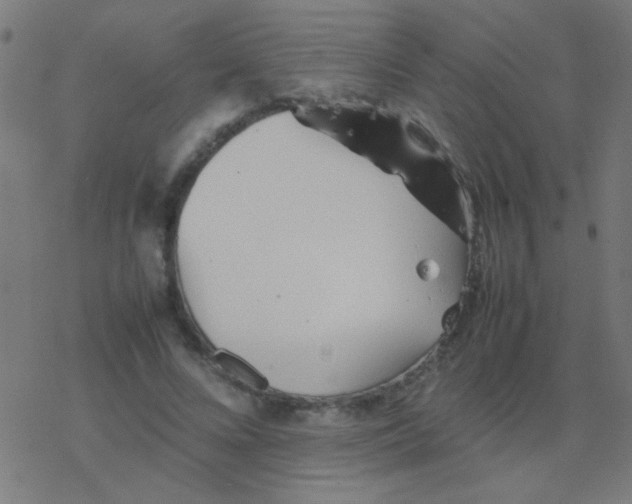 X0000077380688200611101730