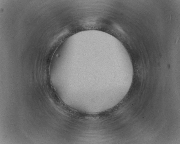 X0000077380690200611101730