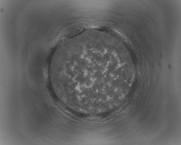 X0000077380691200611101730