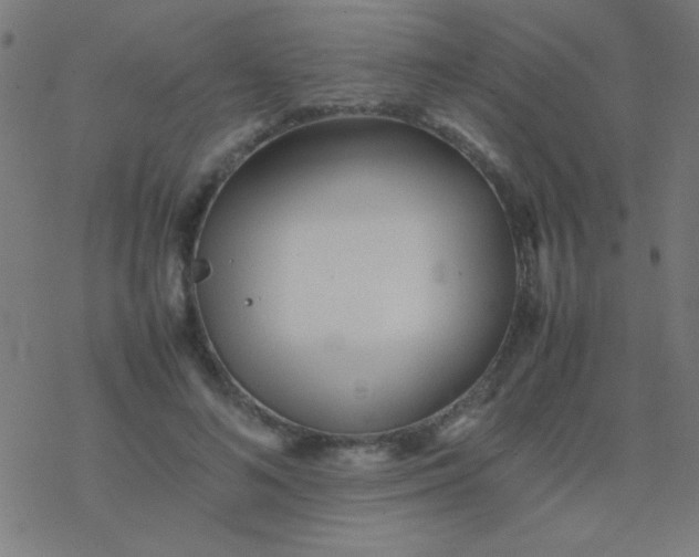 X0000077380692200611101730