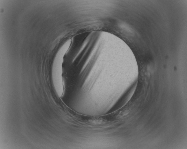 X0000077380693200611101730