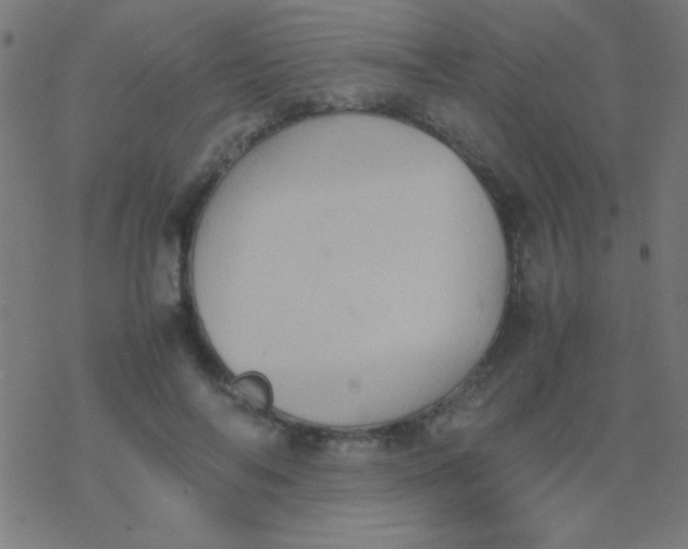 X0000077380694200611101730