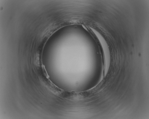 X0000077380696200611101730