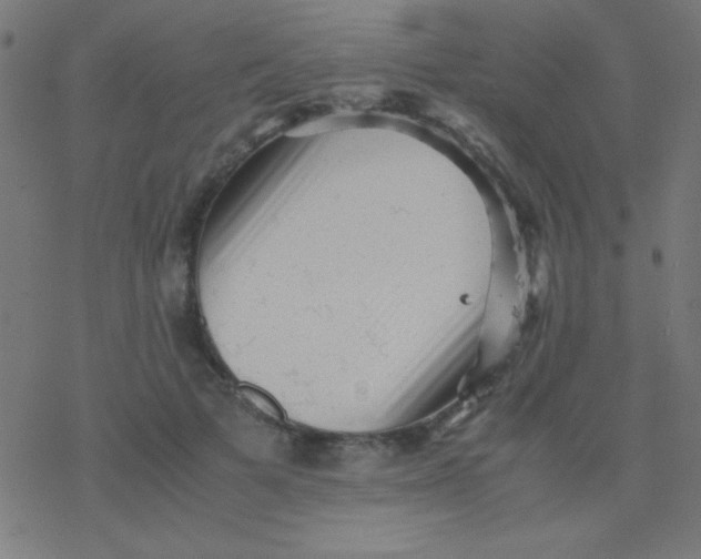 X0000077380697200611101730