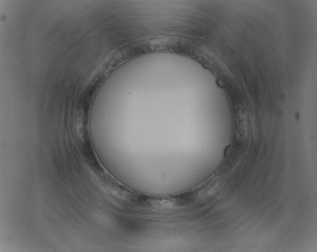 X0000077380698200611101730