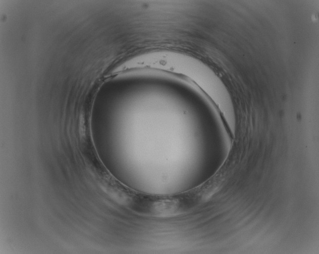 X0000077380700200611101730