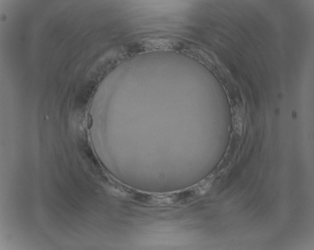 X0000077380701200611101730