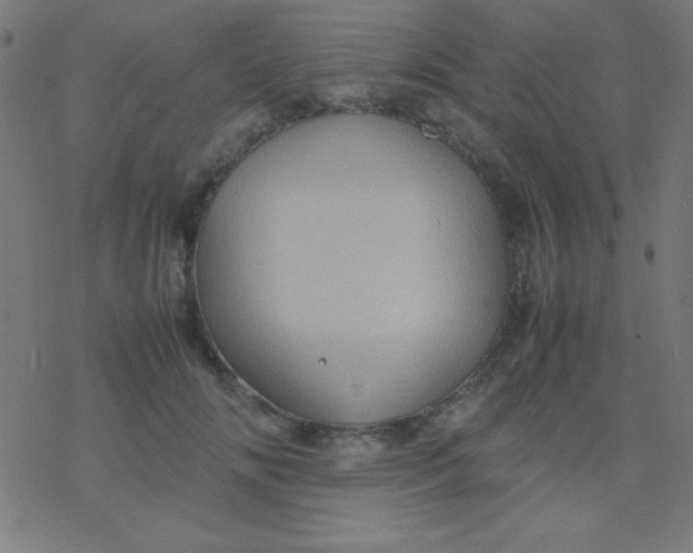 X0000077380702200611101730