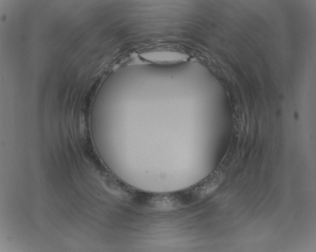 X0000077380704200611101729