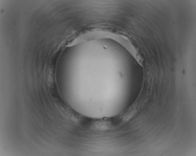 X0000077380708200611101729