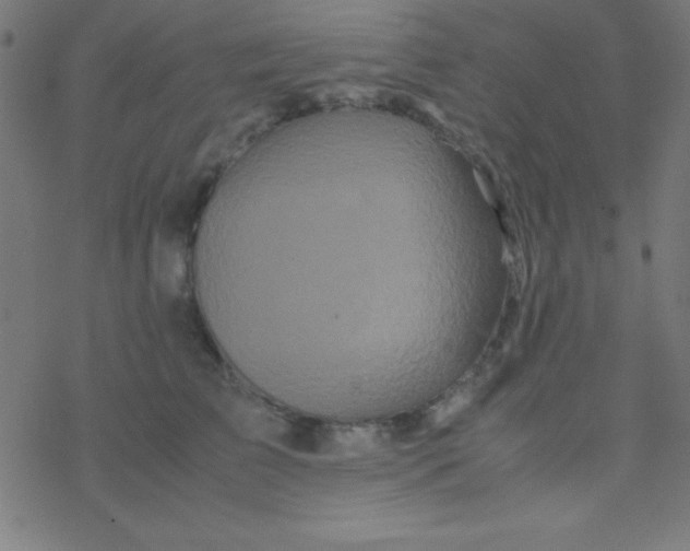 X0000077380709200611101729