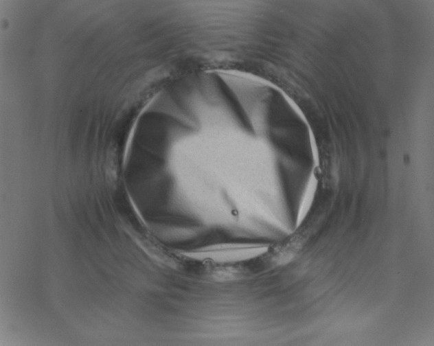 X0000077380710200611101729