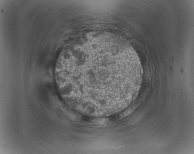 X0000077380711200611101729