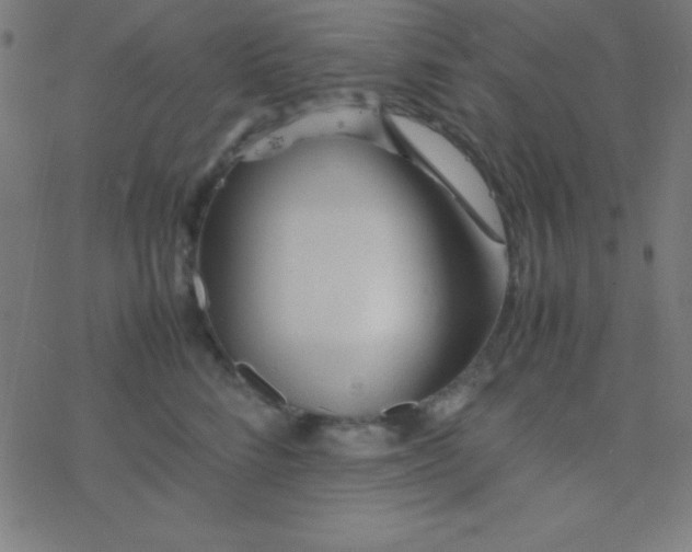 X0000077380712200611101729