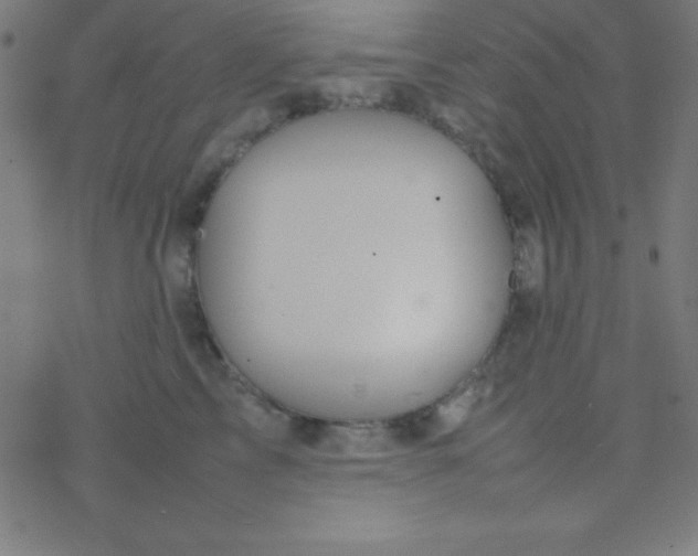 X0000077380713200611101729