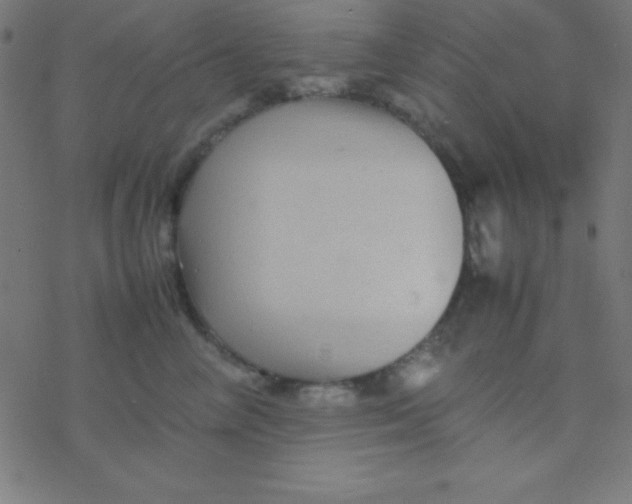 X0000077380714200611101729