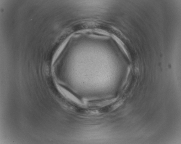 X0000077380715200611101729