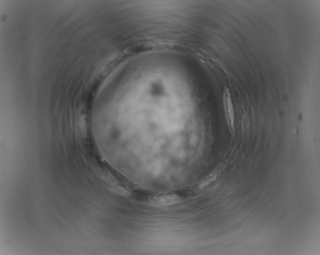 X0000077380716200611101729