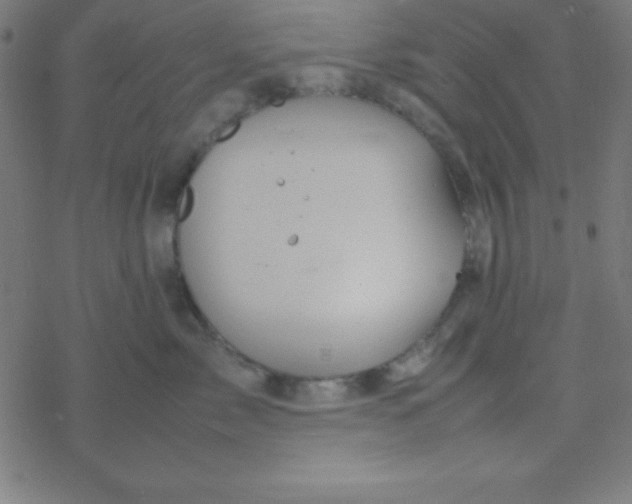 X0000077380717200611101729