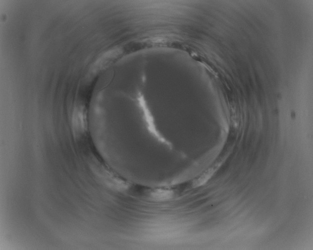 X0000077380718200611101729