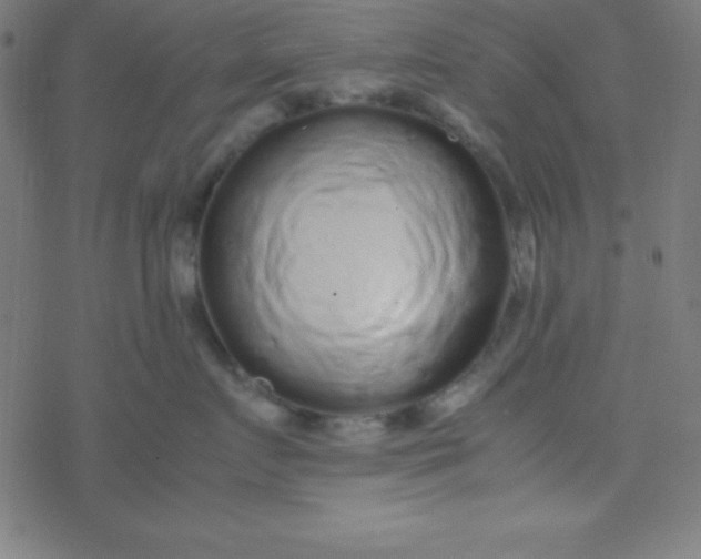 X0000077380719200611101729