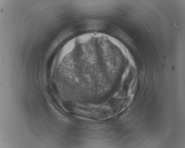 X0000077380722200611101728