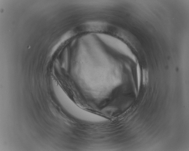 X0000077380723200611101728