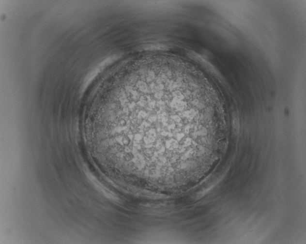 X0000077380725200611101728