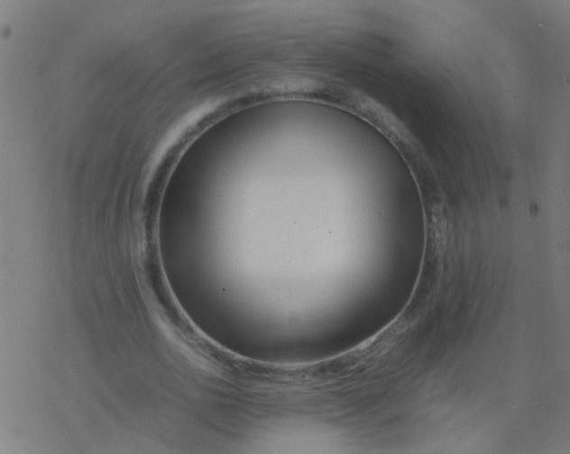 X0000077380726200611101728