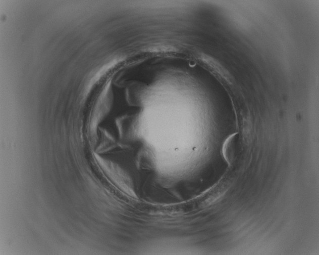 X0000077380727200611101729