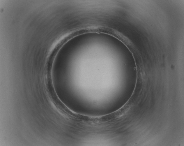 X0000077380728200611101729