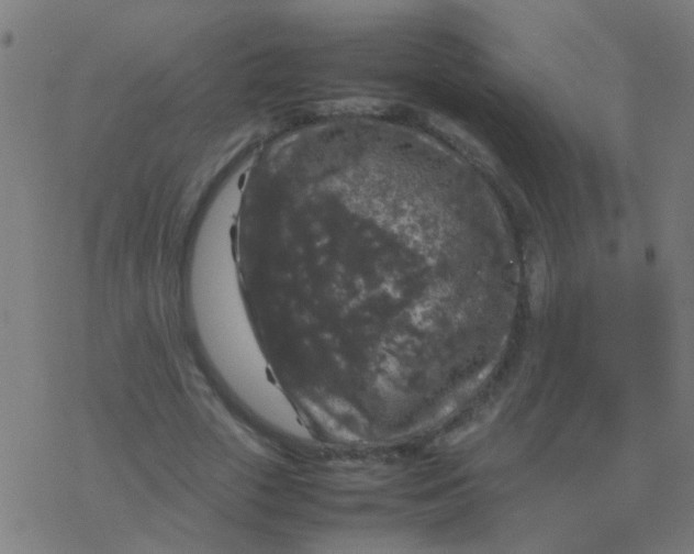 X0000077380729200611101729