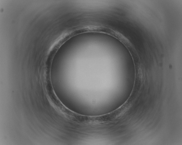 X0000077380730200611101729