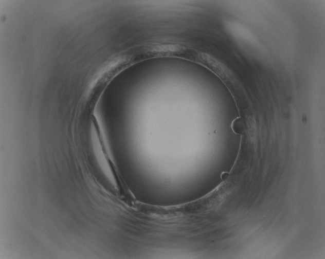 X0000077380731200611101729