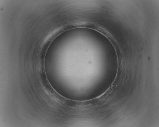 X0000077380732200611101729