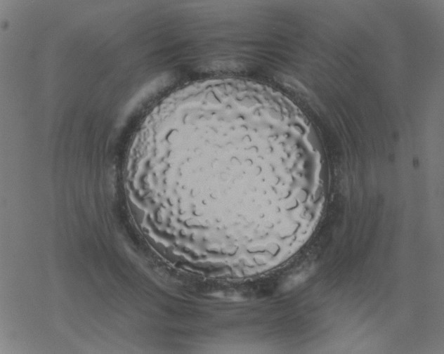 X0000077380735200611101729