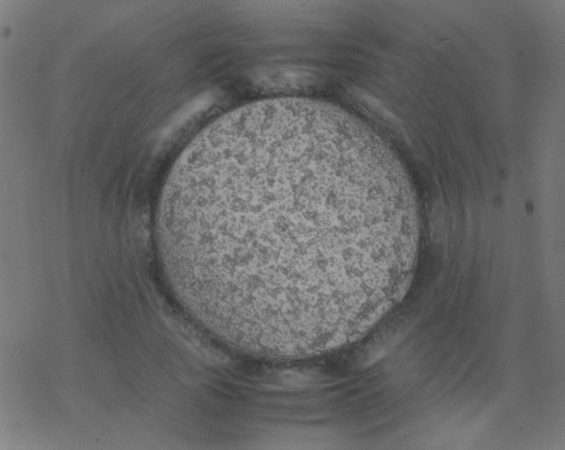 X0000077380737200611101729