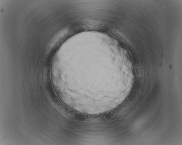 X0000077380738200611101729