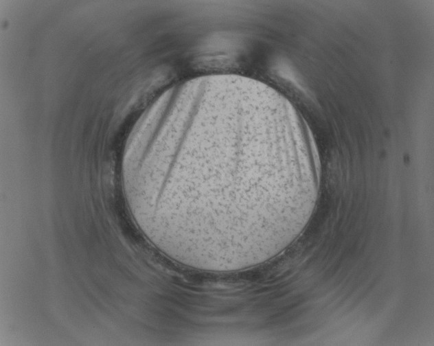 X0000077380739200611101729