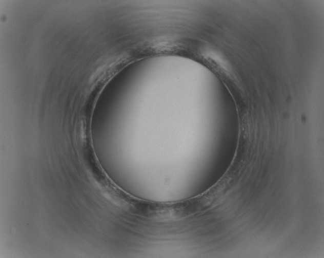 X0000077380740200611101729