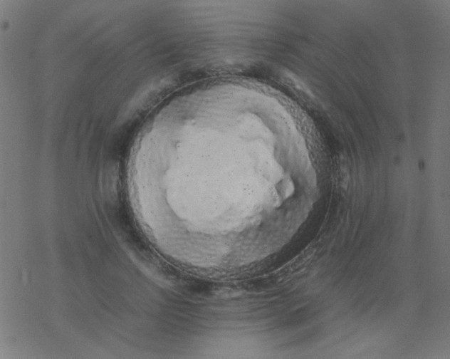 X0000077380742200611101729