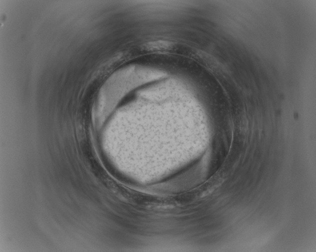 X0000077380743200611101729