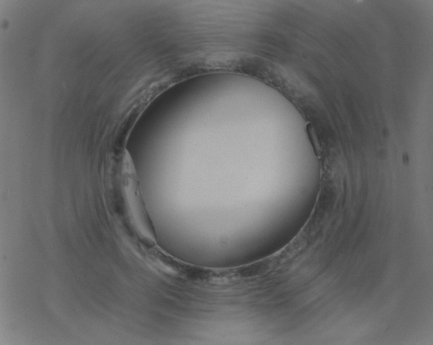 X0000077380744200611101729