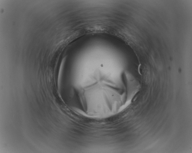 X0000077380747200611101729