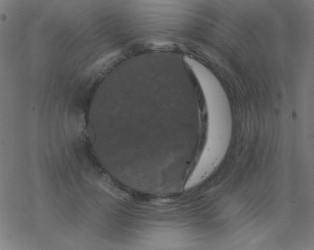 X0000077380748200611101729