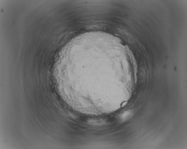 X0000077380749200611101729