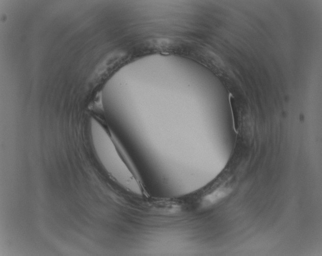 X0000077380750200611101729