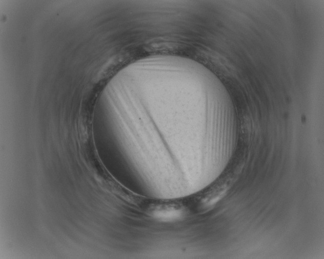 X0000077380751200611101729